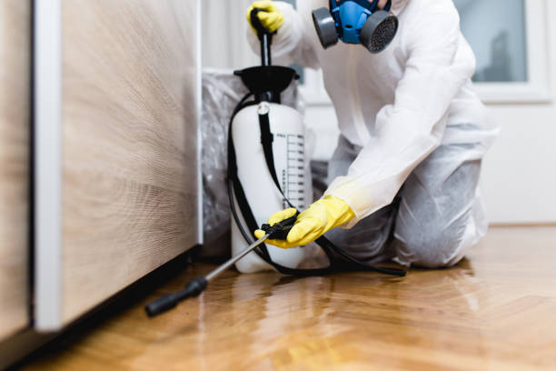 Pest Control Cost in Tres Arroyos, NM