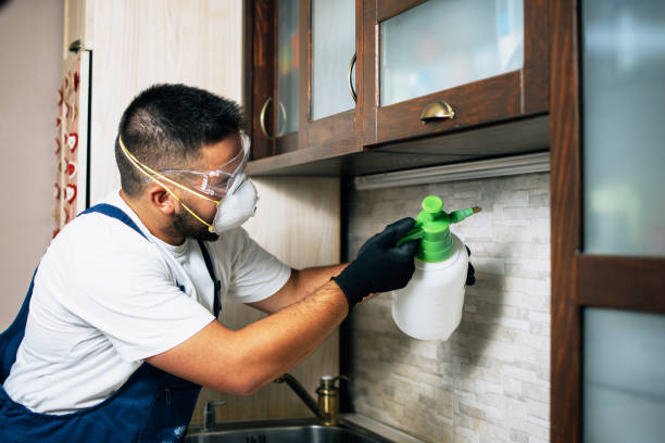 Professional Pest Control in Tres Arroyos, NM