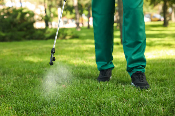 Best Local Pest Control Services  in Tres Arroyos, NM