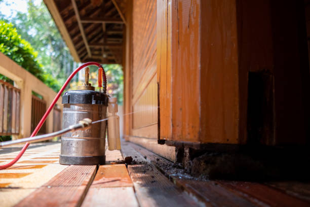 Best Ant Control Services  in Tres Arroyos, NM