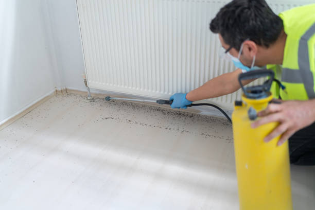 Best Pest Removal Services  in Tres Arroyos, NM